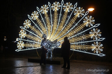 Iluminacje Gdańsk Oliwa - paw przy Palmiarni