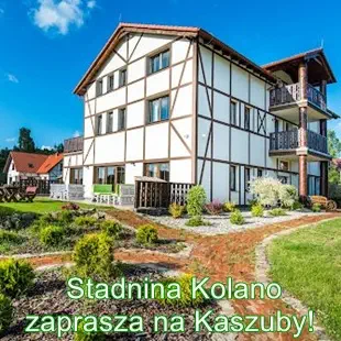 Kolano