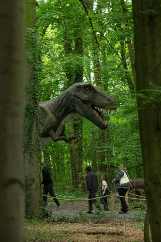 Dino Park Malbork - ruchome dinozaury - rodzinne atrakcje dla dzieci i dorosłych w Malborku