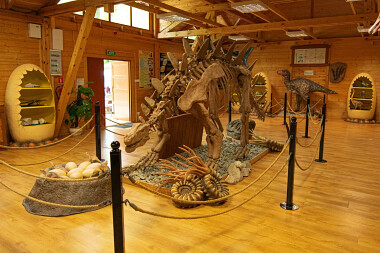 Dino Park Malbork - szkielet dinozaura w Muzeum Skamieniałości w Malbork