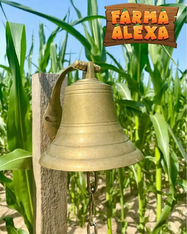 Farma Alexa - Charbrowo koło Łeby - rolniczy park edukacji i rozrywki nad morzem (1)