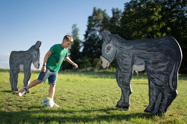 Farma Alexa - Charbrowo koło Łeby - rolniczy park edukacji i rozrywki nad morzem (8)
