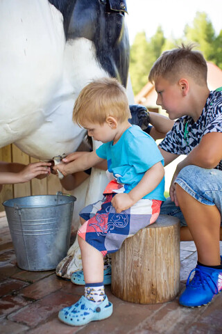 Farma Alexa - Charbrowo koło Łeby - rolniczy park edukacji i rozrywki nad morzem - mleko pochodzi od krowy, a nie z półki w markecie :)