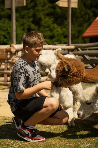 Farma Alexa - Charbrowo koło Łeby - rolniczy park edukacji i rozrywki nad morzem (28)