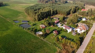Na grzybobranie na skraju Kaszub, Kociewia i Borów Tucholskich zaprasza Agroturystyka Lipy