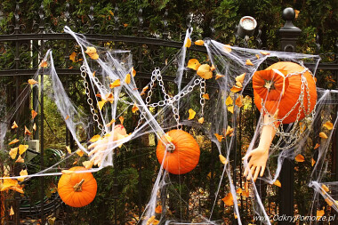 Halloween w Gdańsku - Willa Kirsch - ul. Jaśkowa Dolina 44 (18)