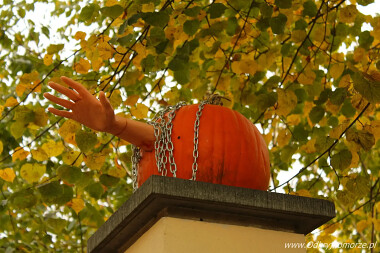 Halloween w Gdańsku - Willa Kirsch - ul. Jaśkowa Dolina 44 (3)