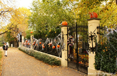 Halloween w Gdańsku - Willa Kirsch - ul. Jaśkowa Dolina 44 (2)