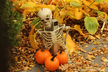 Halloween w Gdańsku - Willa Kirsch - ul. Jaśkowa Dolina 44 (10)
