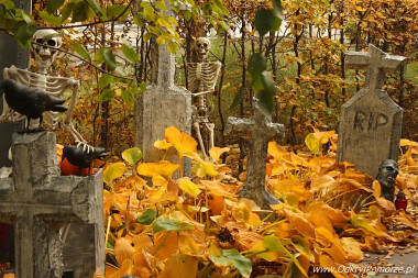 Halloween w Gdańsku - Willa Kirsch - ul. Jaśkowa Dolina 44 (11)