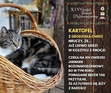 XIV Owidzki Jarmark Bożonarodzeniowy 2025