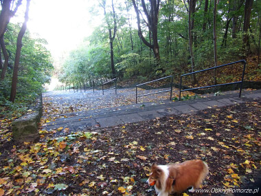 Gdańska Aniołki - szerokie schody prowadzące na Wronią Górkę