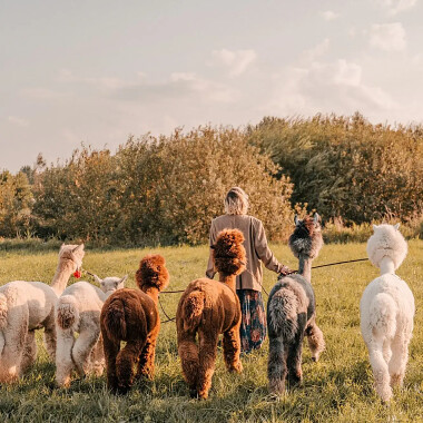 Seliraj Dzierżążno (15)