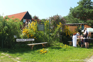 Swołowo - warsztaty botaniczne - jedne z wielu jakie proponuje Muzeum