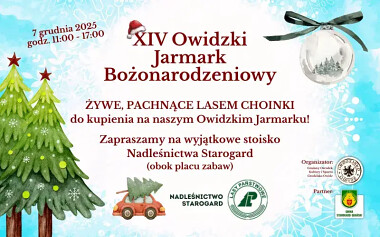 Na Owidzkim Jarmarku Bożonarodzeniowym będą w sprzedaży choinki Nadleśnicytwa Starogard Gdański