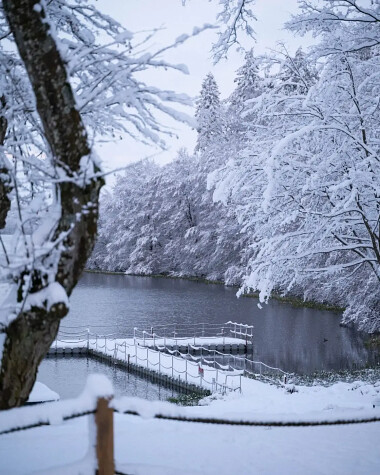Zima nad Jeziorem Węgorzyno - fot. Leśny Dwór w Sulęczynie