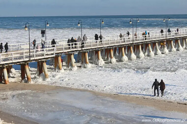 Zimowy survival w Gdyni - jak przetrwać sezon grypowy bez wychodzenia z domu?