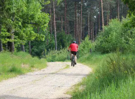 Najciekawsze pomysły na gravel na Pomorzu!