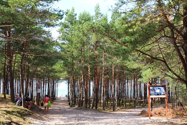 Sasino - Stilo - wejscie na plażę nr 51
