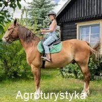 Parada Niepodległości