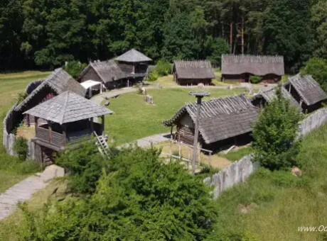 tytul
