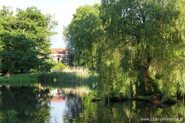 Pruszcz Gdański - Park Centralny - staw