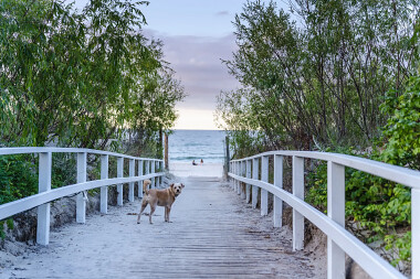 Wakacje nad morzem w Jastarni - hotel położony zaledwie 150 metrów od plaży