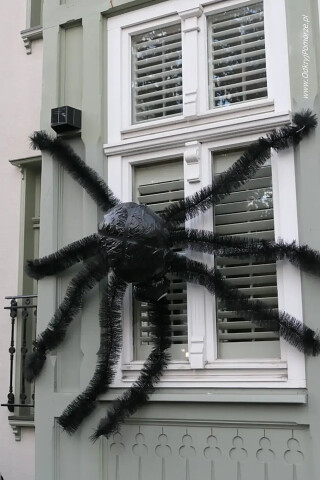 Dekoracje Halloween w Sopocie - pająk na ścianie