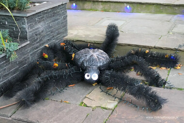 Dekoracje Halloween w Sopocie