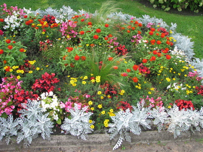 Park Oliwski Gdańsk Oliwa - kwiaty w ogrodzie botanicznym