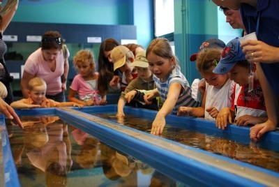 Atrakcje dla dzieci Trójmiasto - Akwarium Gdynia