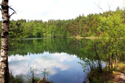 Jezioro Modre - jezioro lobeliowe - Kaszuby