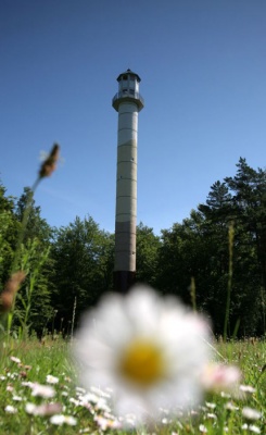 Wieża widokowa w Orzechowie - fot. M. Żabicka