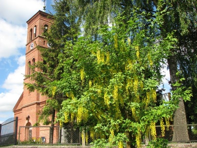 Kościół w Chmielnie