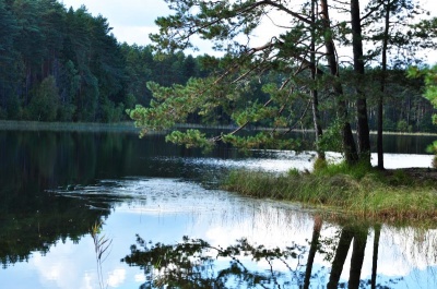 Dom nad jeziorem Powidzkim - Kaszuby - Magnolia