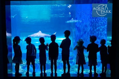 Aquapark Reda atrakcje dla dzieci