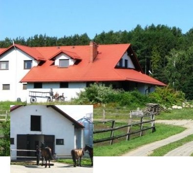 Hotel dla koni okolice Gdańska