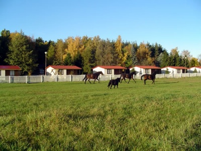 Agroturystyka Orzechowo - domki i konie