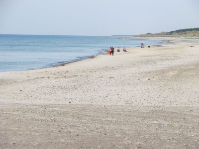Plaża w Rowach - wschodnia część w kierunku Słowińskiego PN