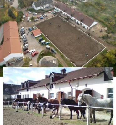 Hotel dla koni - okolice Trójmiasta - Stajnia Pomerania