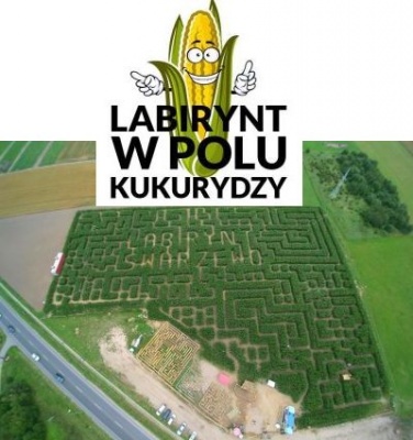 Labirynt w kukurydzy Swarzewo Władysławowo