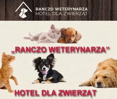 Hotel dla psów i kotów - okolice Trójmiasta