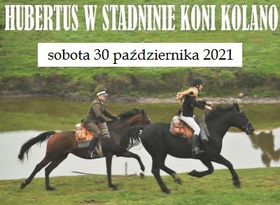 Hubertus Wieżyca stadnina Kolano Kaszuby 2021