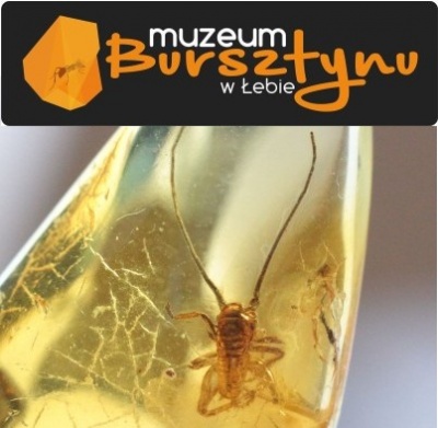 Muzeum Bursztynu Łeba